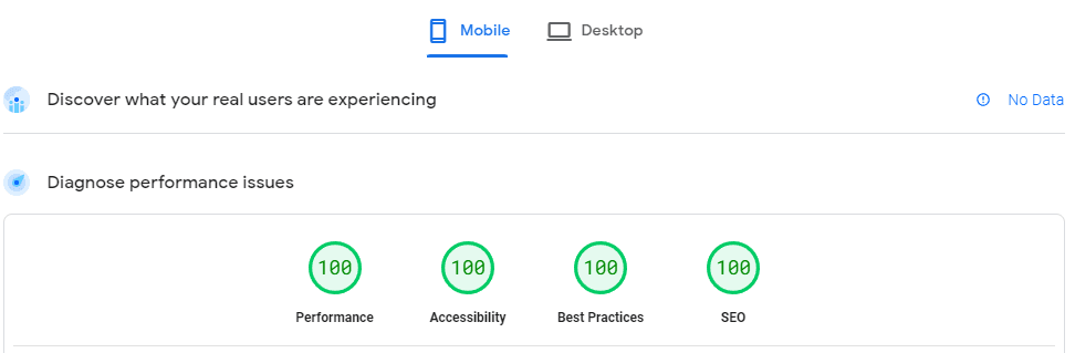 The page speed score of a website showing a perfect 100 score for every criteria